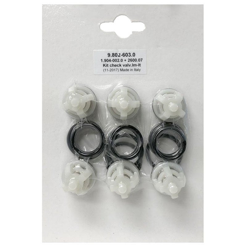 Check Valve Kit for Hotsy Pumps 9.802-603.0